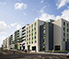 Epsom Regeneration